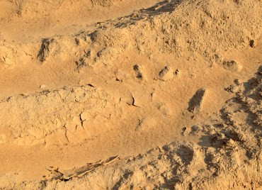 Estudios geológicos